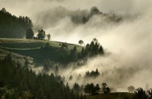 przebudzenie'