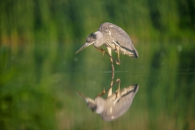 Sielanka