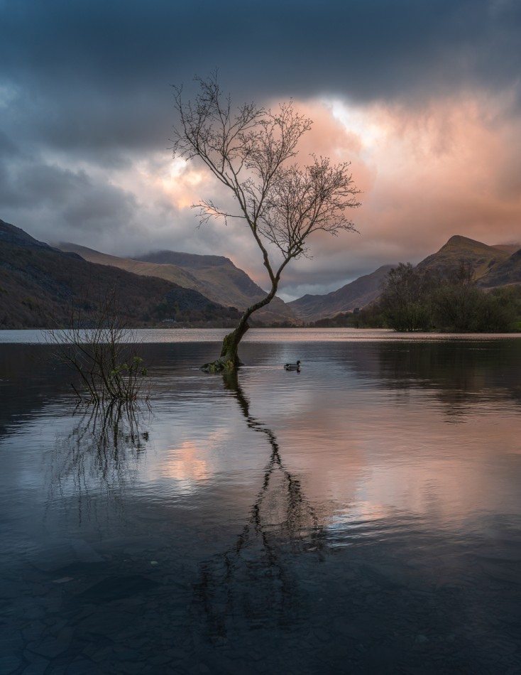 Llyn Padarn. . Zdjęcie 339729