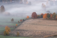 Autumn...