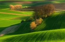 Wiosenne....