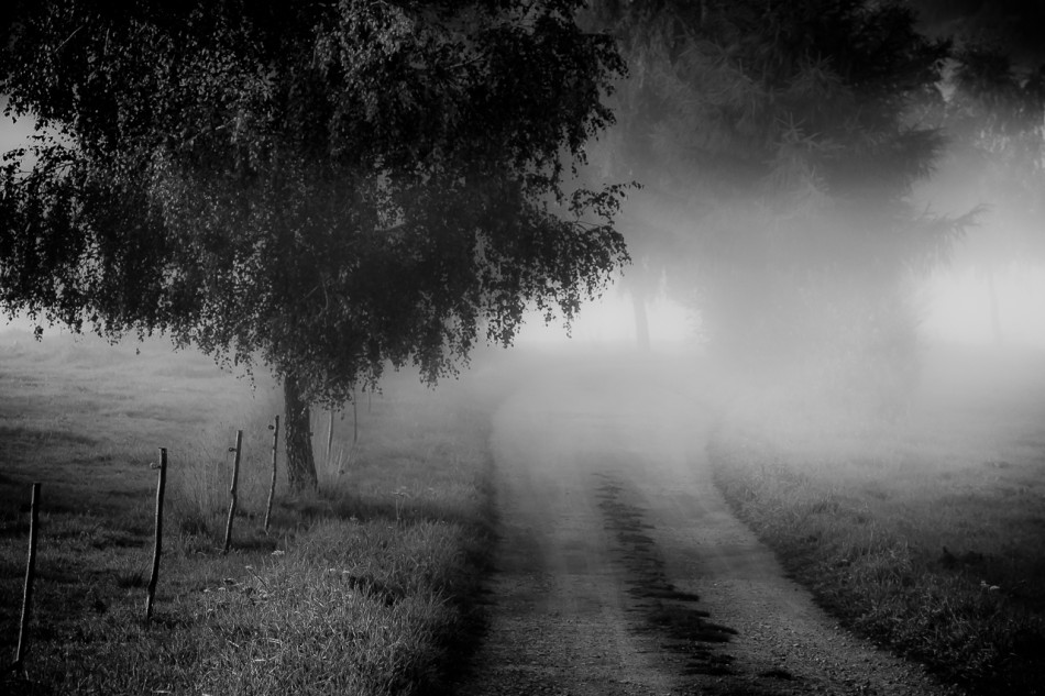 We mgle. . Zdjęcie 338425