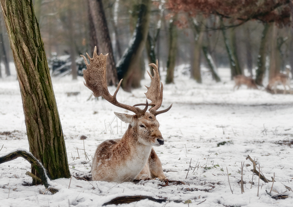 maniak666 - Relaksik. . Zdjęcie 80476