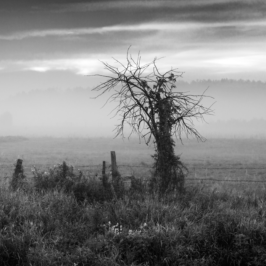 Brak tytułu. . Zdjęcie 247353