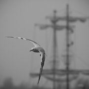 port