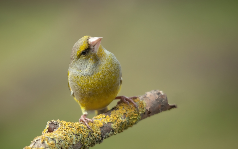 roman53 - . . Zdjęcie 288735