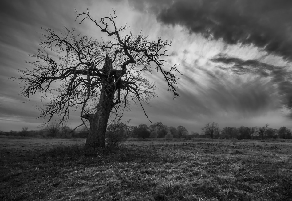 Mroki. . Zdjęcie 340010