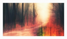 Autumn Colors