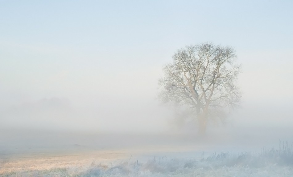 Cisza. Zapraszam na PE. Zdjęcie 337989