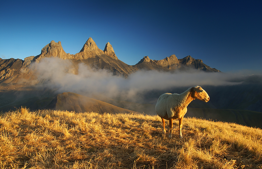 karol_nienartowicz - Aiguilles dArves. Alpy, Francja. 2012 r.. Zdjęcie 103059