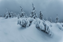 Frozen Land