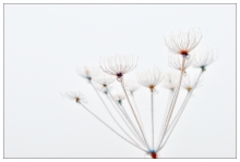 Aerials