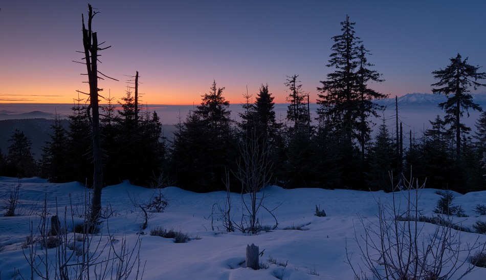 /\. . Zdjęcie 338601