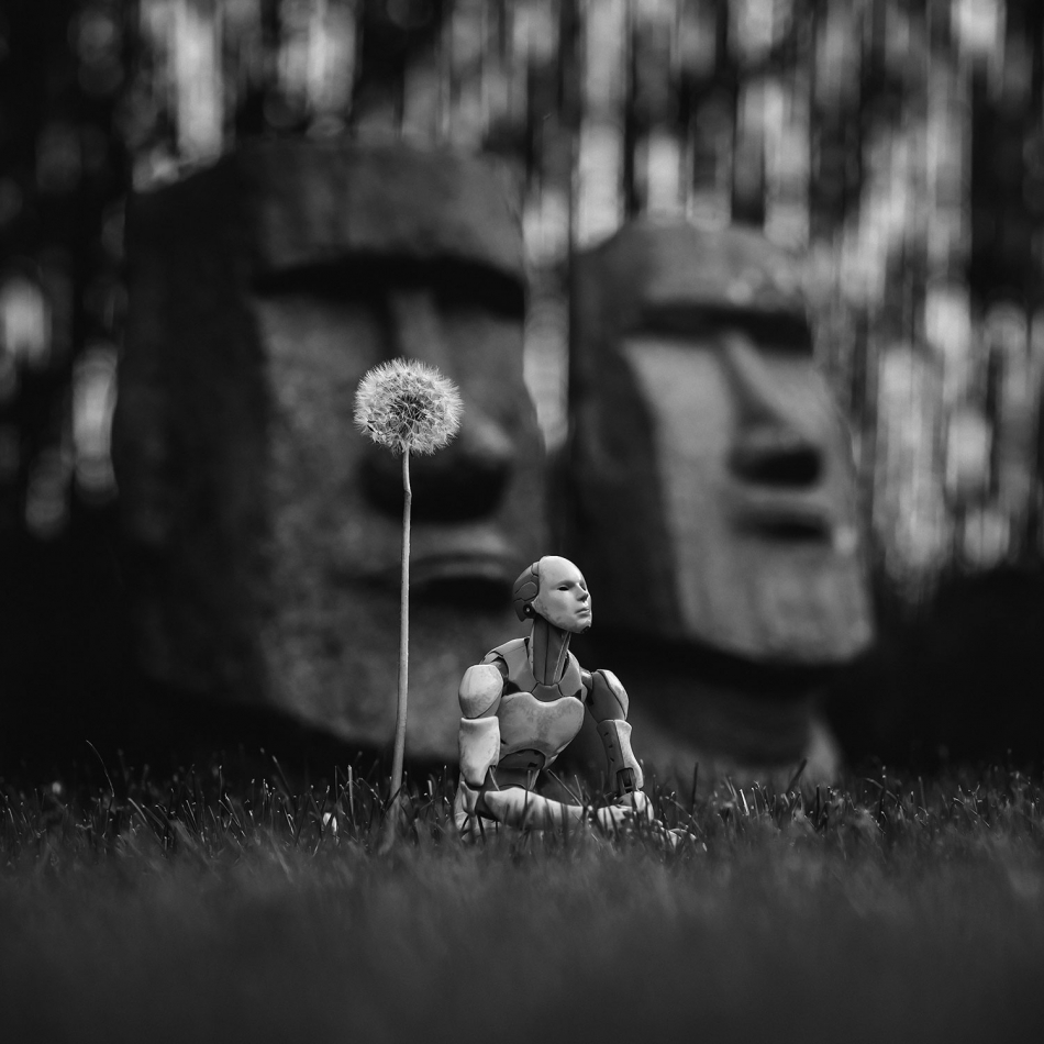 vonbitto - serenity. . Zdjęcie 314973