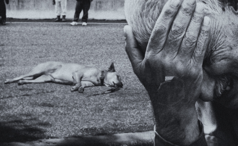 demortis - Wróć.... . Zdjęcie 65734