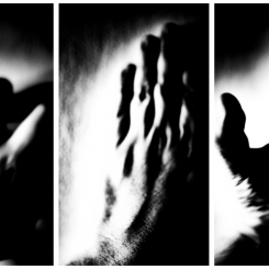 Tryptyk dwubiegunowy (2)