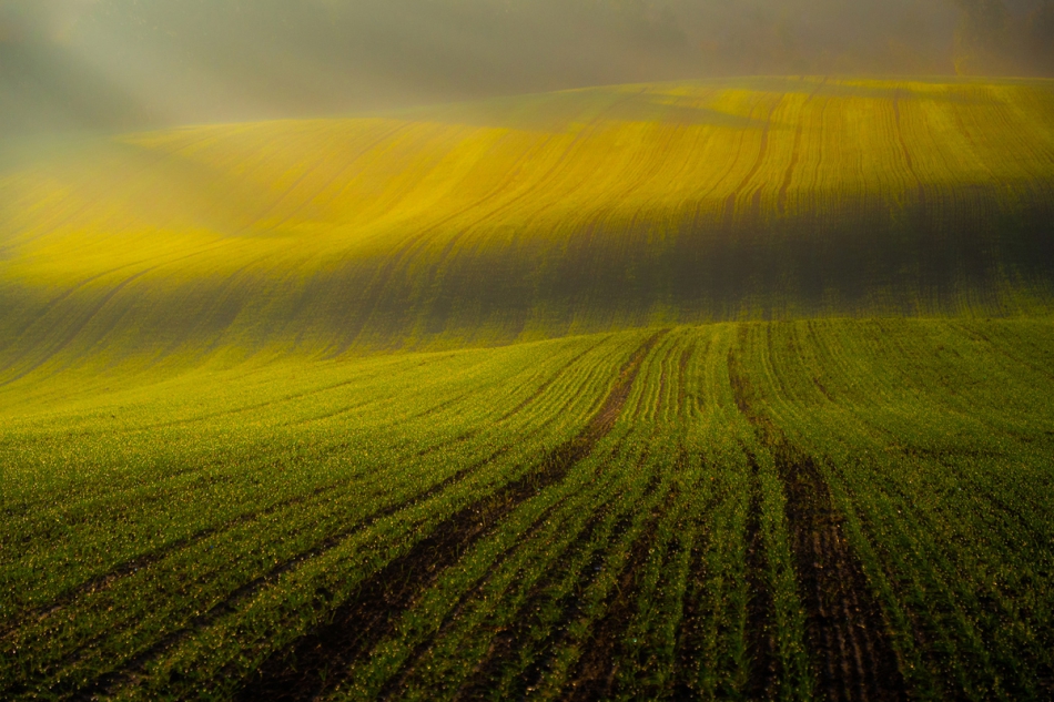 fotoel - Jesienne pola. . Zdjęcie 232700