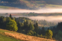 Spokój poranka. 