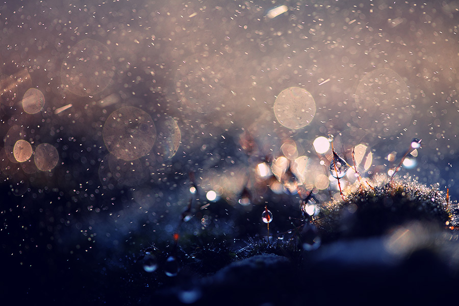  - Light and water. . Zdjęcie 58909