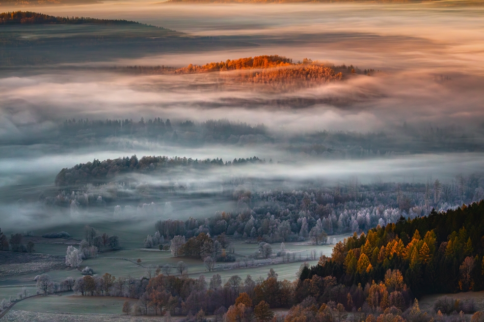 Frosty Morning.... . Zdjęcie 336112