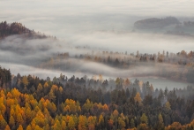 For the Love of Autumn...