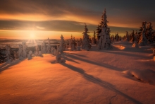 Breath of the Sun...