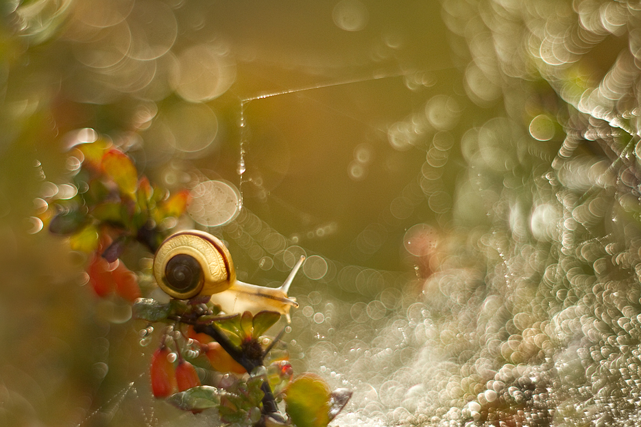 agnez - Podróż. . Zdjęcie 123384