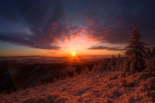 When the Morning Comes ...
