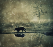 Lost in Time