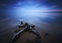 Silent lake