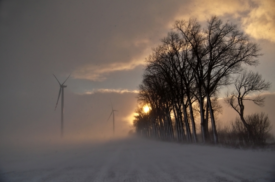 mazi - Zima na Żuławach. Krótki przebłysk wschodzącego słońca podczas zamieci śnieżnej na Żuławach.... Zdjęcie 277450