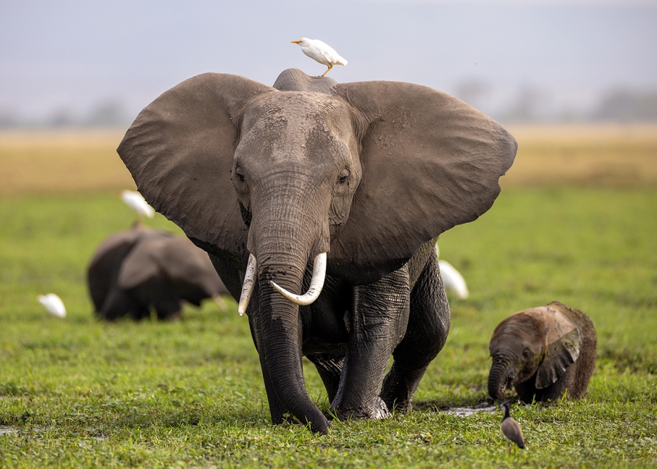 rybo_lub - Na gapę. . Zdjęcie 318699