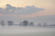 Przed wschodem. 