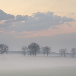 Przed wschodem. 