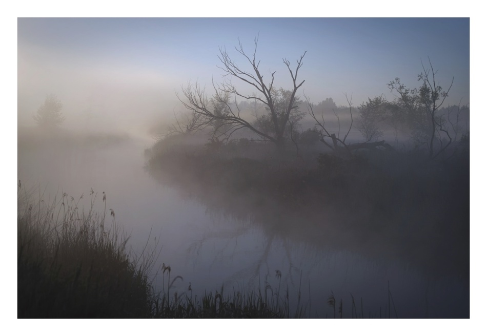 *. . Zdjęcie 337408