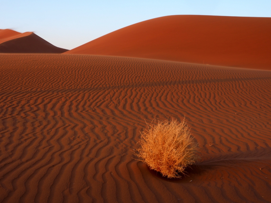 dziama0 - Namib . . Zdjęcie 297070