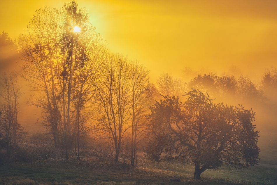 shooter76 - . . Zdjęcie 308002