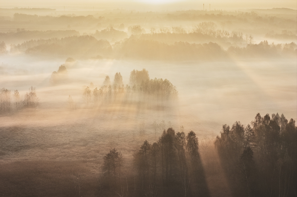 Mała Ojczyzna. . Zdjęcie 336871