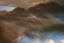Pieniny