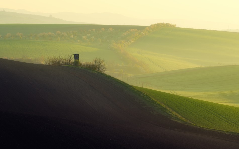 „lovecký posed”. . Zdjęcie 339818