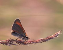 :))))byle do wiosny:)