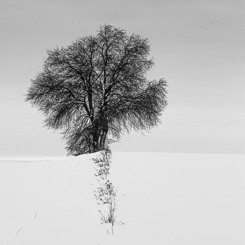 -. -. Zdjęcie 338881