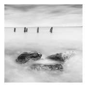 Newton - Shore
