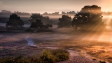 STORIES FROM THE HEATH