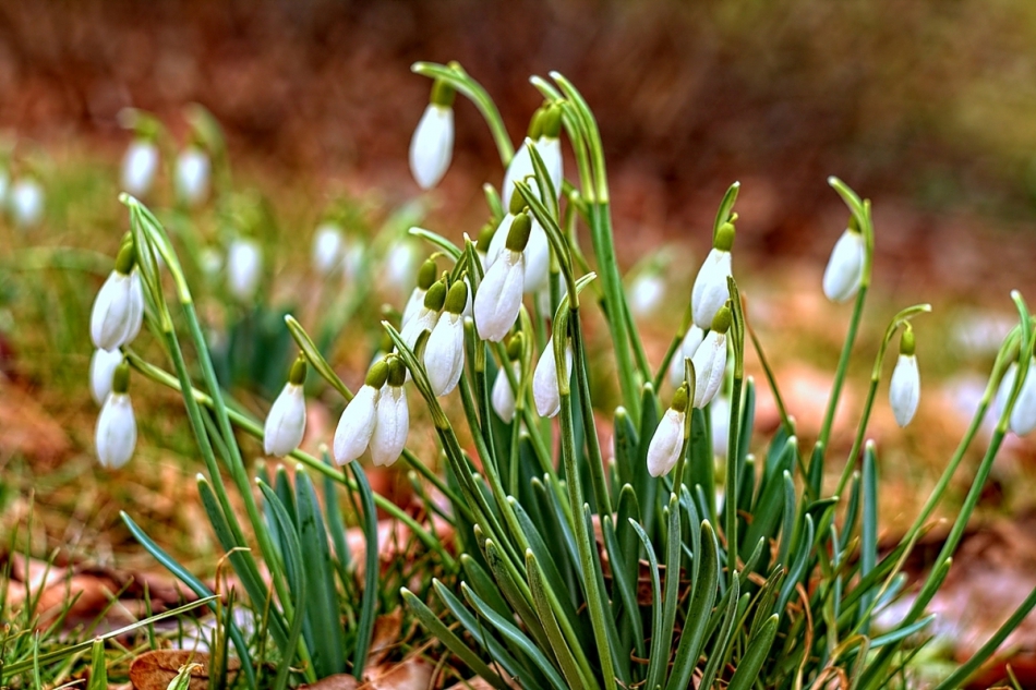 A wiosna tuż ,tuż.... PE poproszę. Zdjęcie 216637