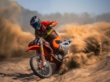 MX 