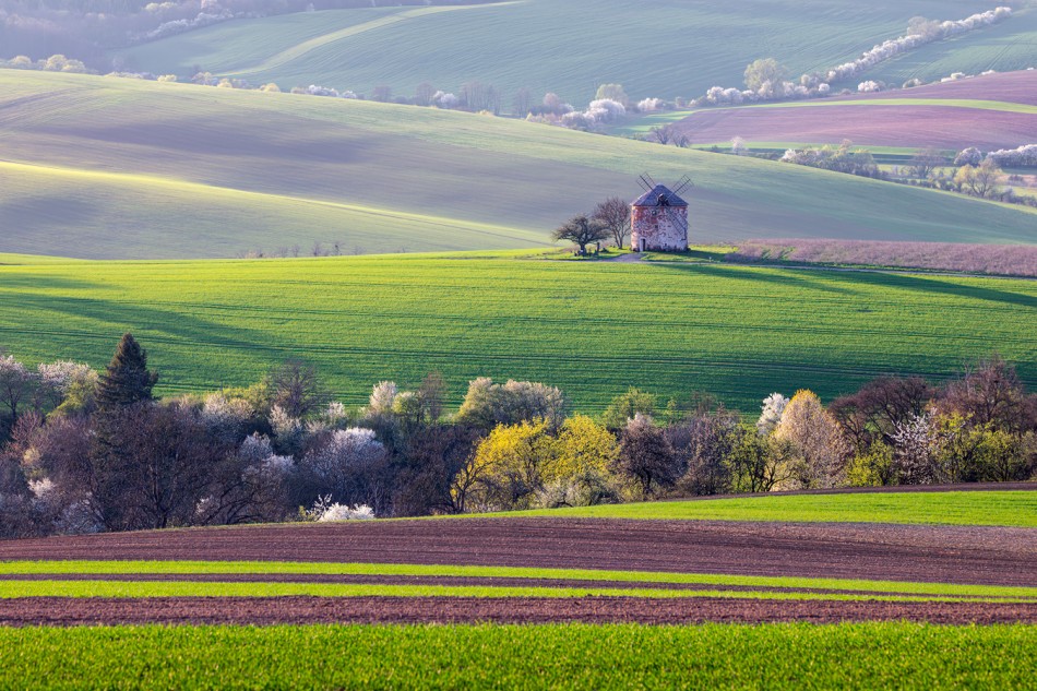 Wiosna wkoło młyna. . Zdjęcie 339887