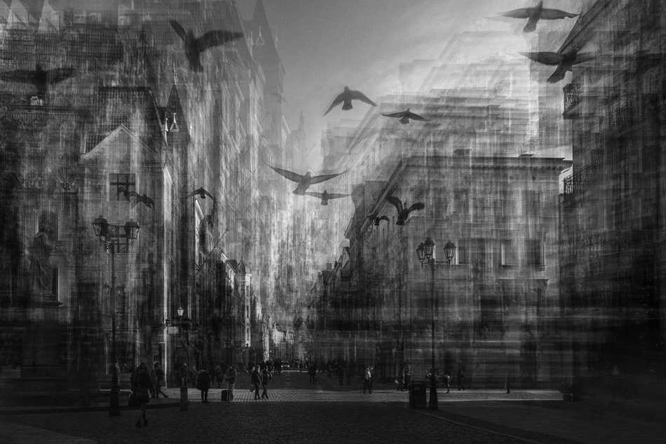 akrims - . . Zdjęcie 310904