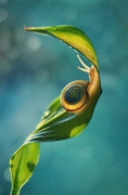 Drogami paraboli