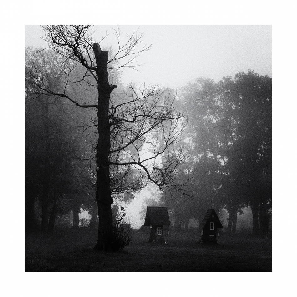 akrims - . . Zdjęcie 327920